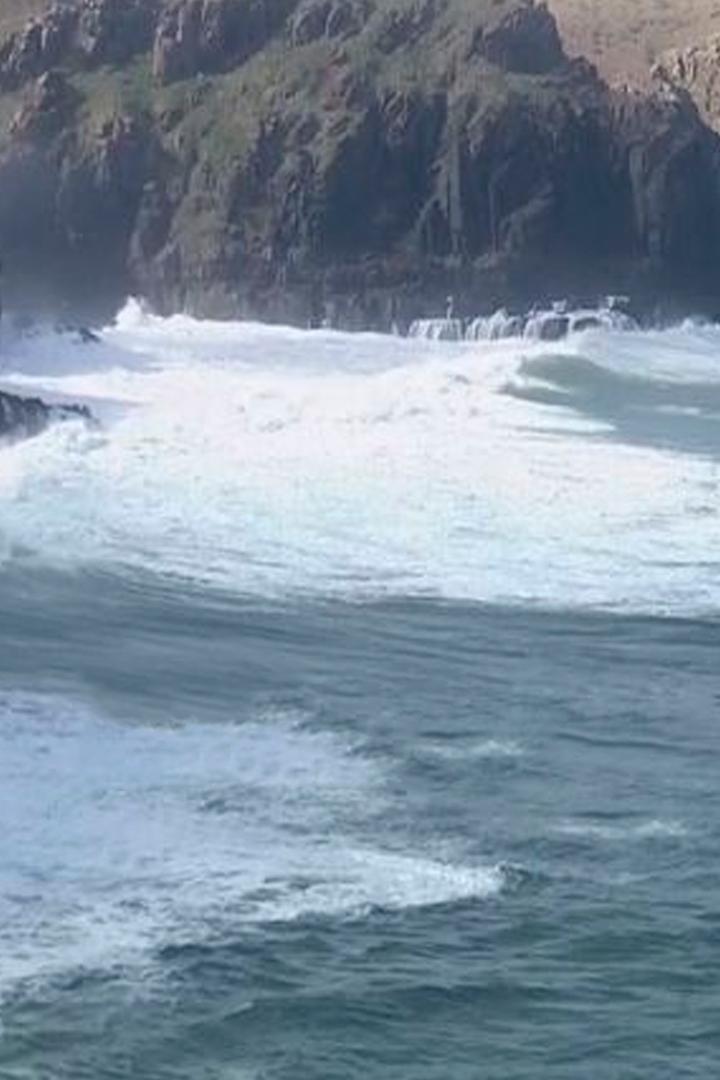 Два Океана (dva-okeana) Реалити-шоу