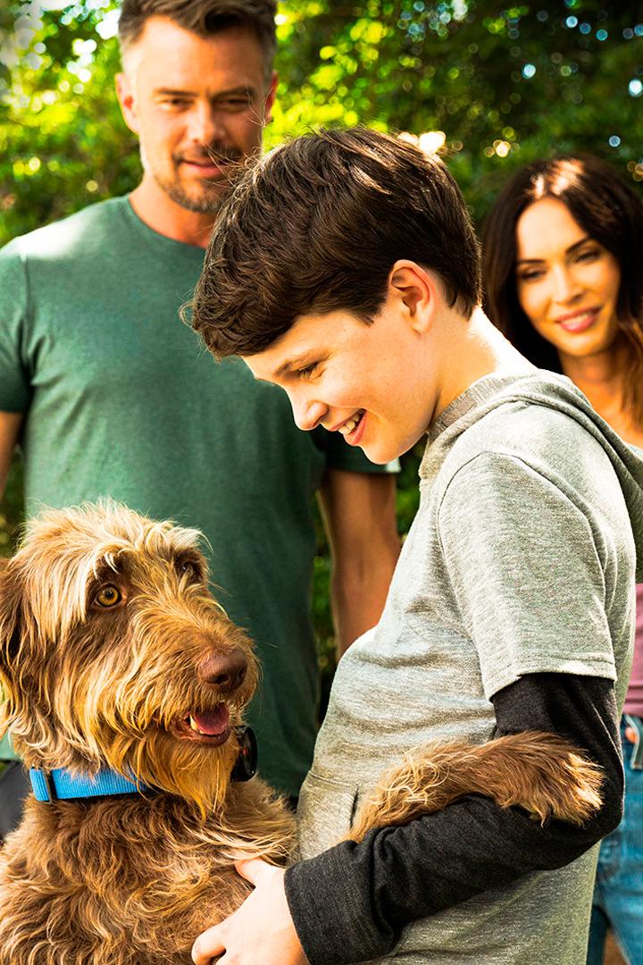 Думай как собака (dumaj-kak-sobaka) Фильм 2020