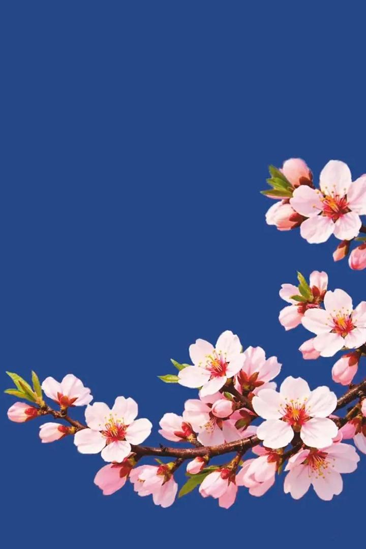 Символ русской весны – Севастополь! (simvol-russkoj-vesny-sevastopol) Музыка