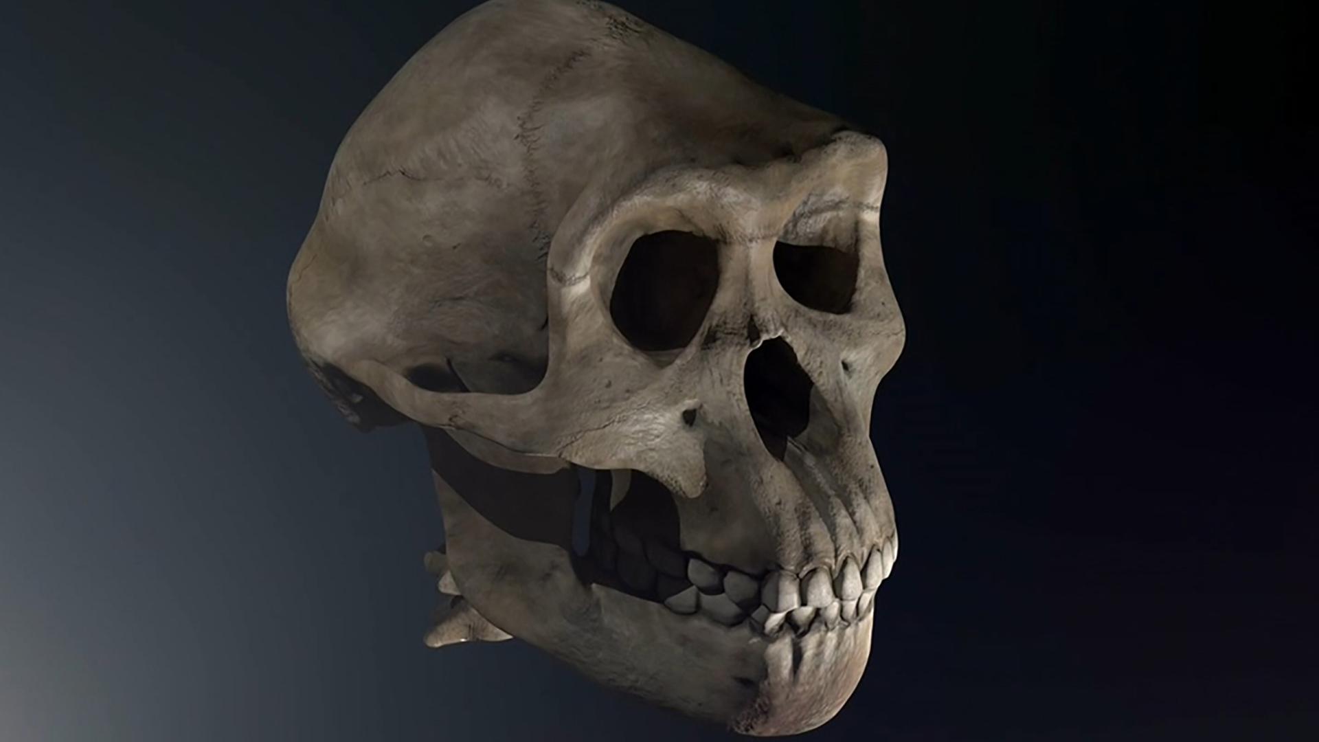 Рассвет человечества (rassvet-chelovechestva) Документальный фильм