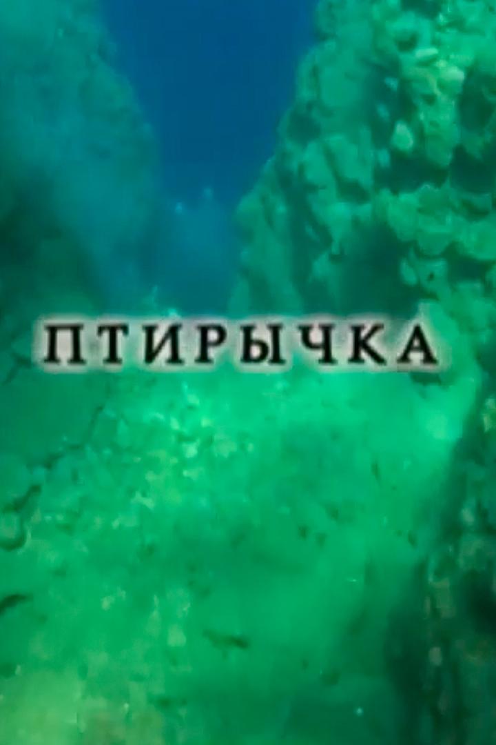Птирычка (ptirychka) Документальный фильм