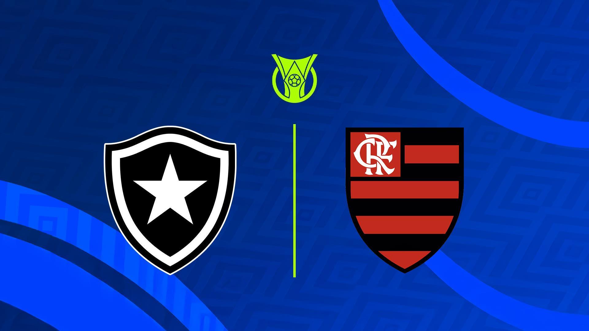 Чемпионат Бразилии. Ботафого - Фламенго (chempionat-brazilii-botafogo-flamengo) Спорт