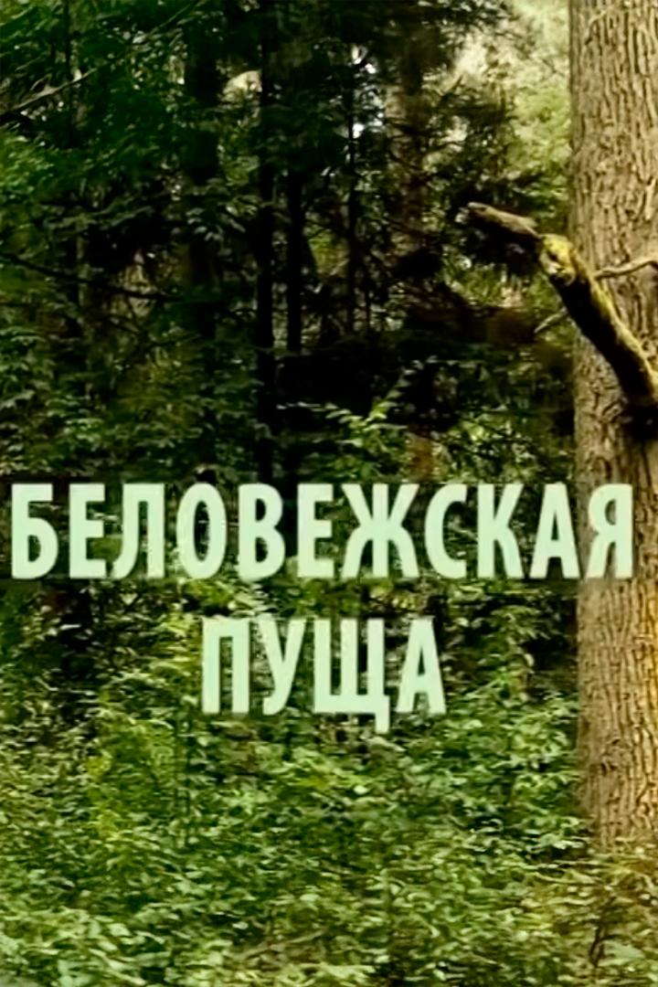 Беловежская пуща (belovezhskaja-puscha) Документальный фильм