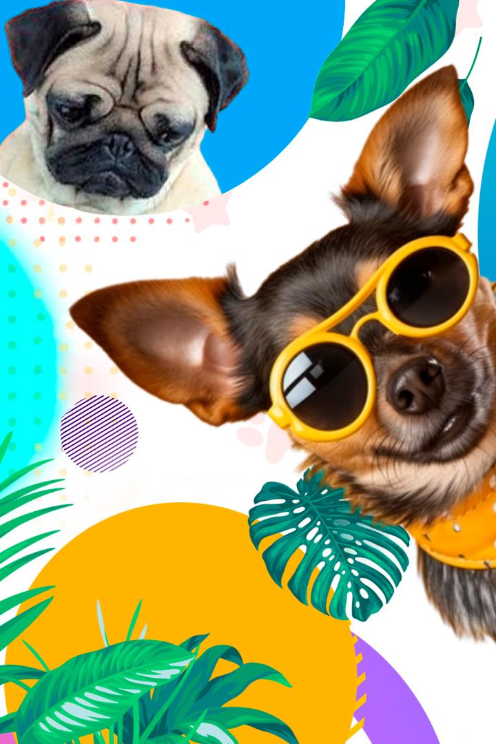 В кругу друзей (v-krugu-druzej) ТВ-шоу