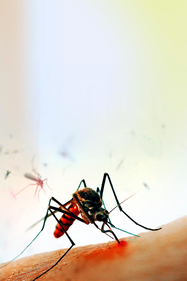 Москиты (moskity) Документальный фильм