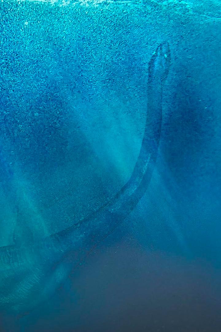 В поисках Несси (v-poiskah-nessi) Документальный сериал