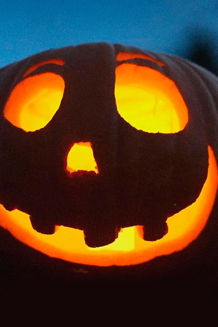 Потрясающая тыква (potrjasajuschaja-tykva) Документальный фильм