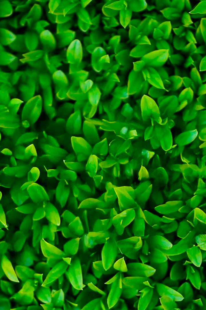 Свидание с природой (svidanie-s-prirodoj) Документальный сериал