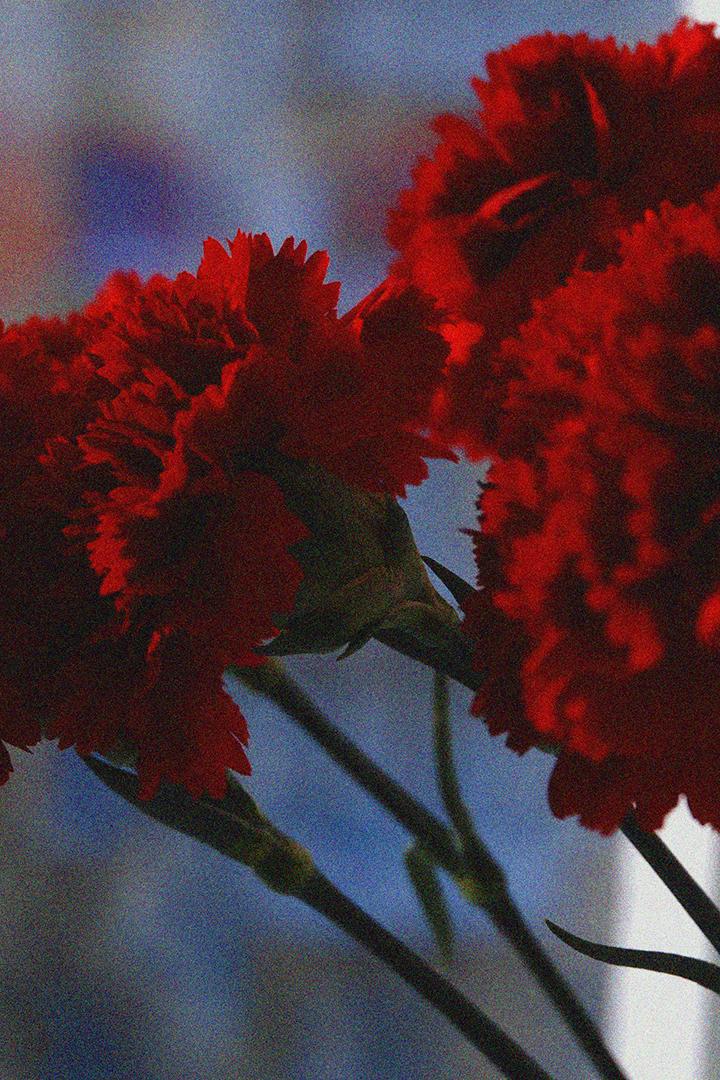 Песни ВОВ (pesni-vov) Музыка