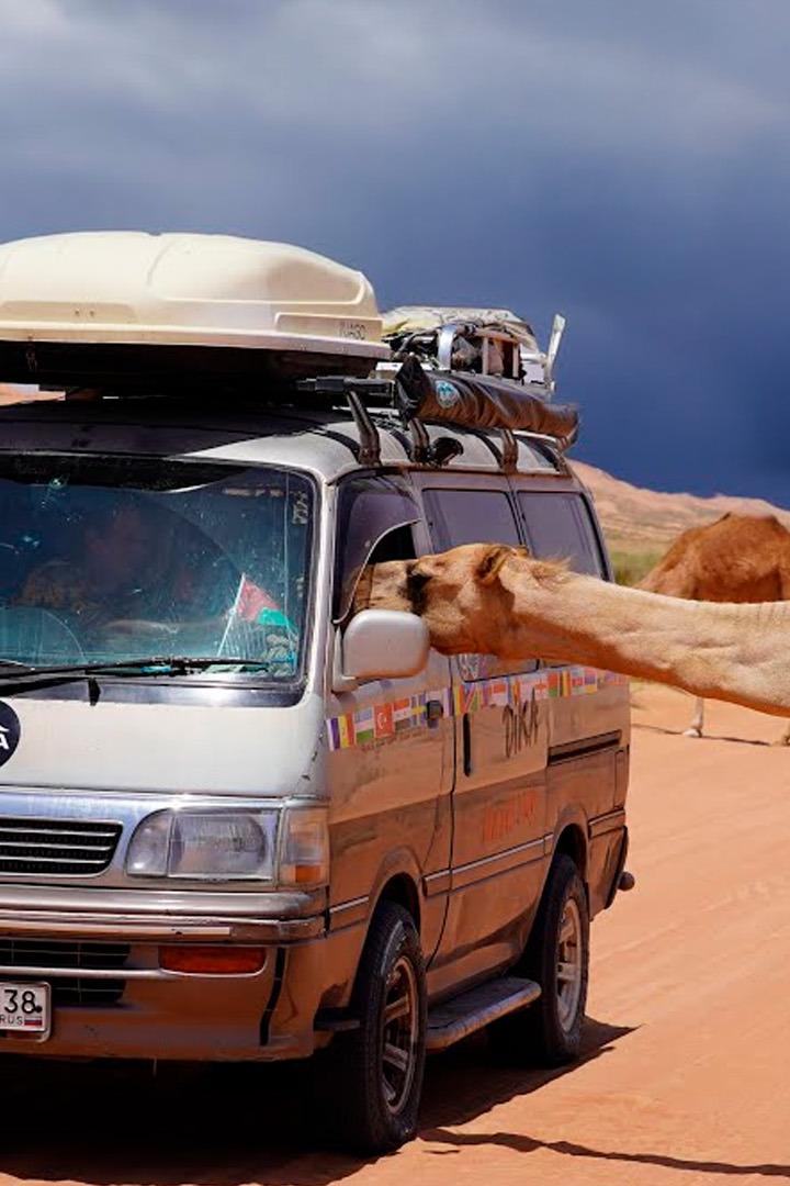 Объединённые Арабские Эмираты и Оман. Дика Денис и Алёна (obedinennye-arabskie-emiraty-i-oman-dika-denis-i-alena) Досуг, хобби