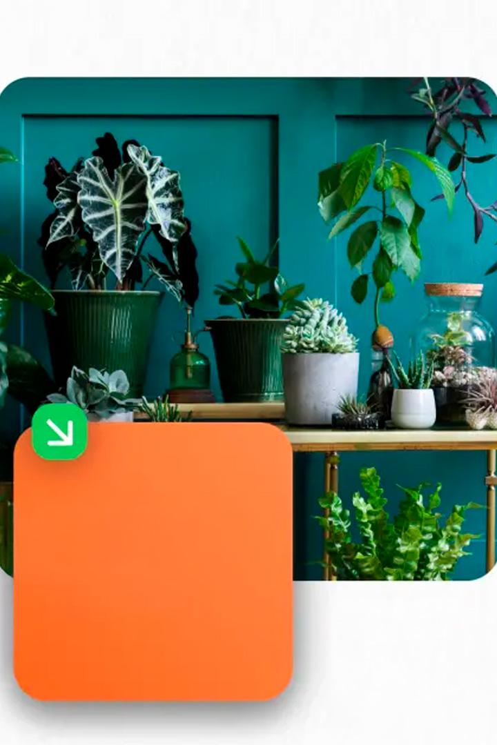 Весенние квадраты (vesennie-kvadraty) Досуг, хобби