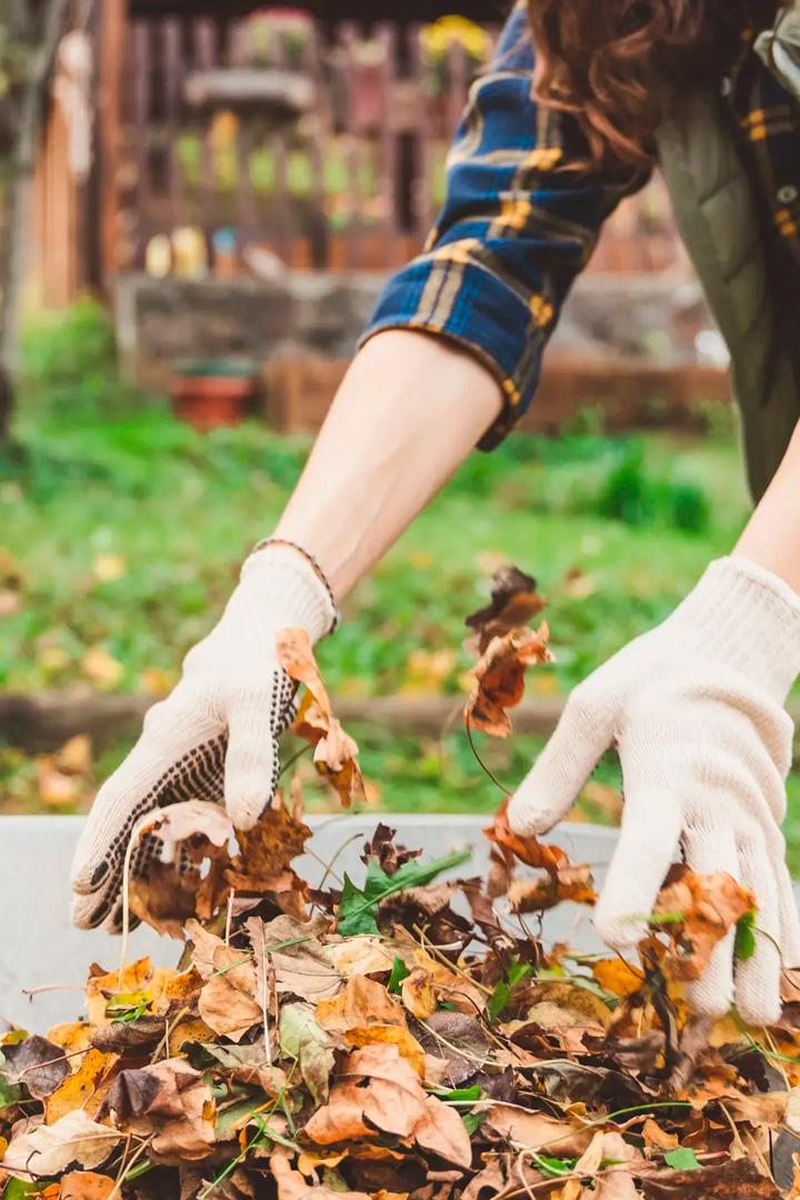 Субботник (subbotnik) Досуг, хобби