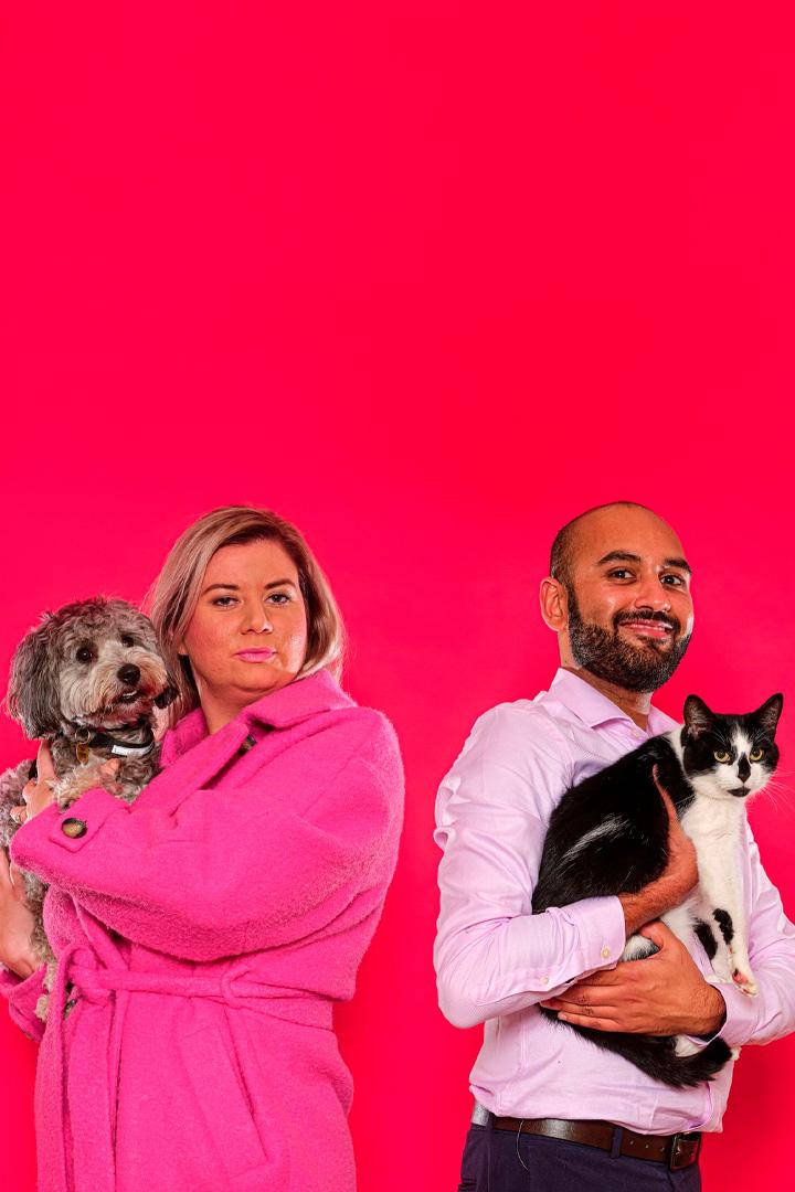 Война кошек и собак (vojna-koshek-i-sobak) Документальный сериал