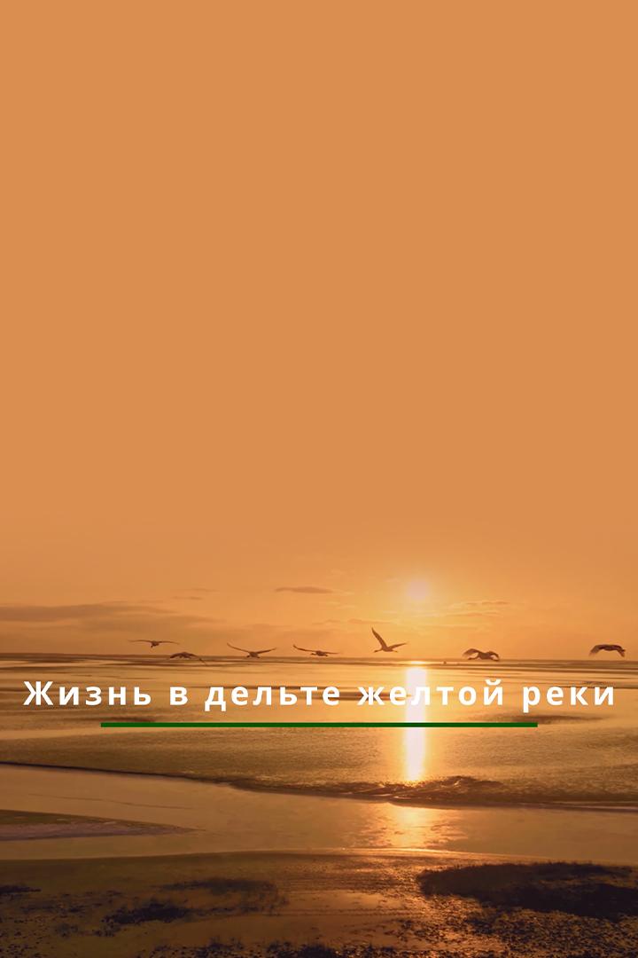 Жизнь в дельте Жёлтой реки (zhizn-v-delte-zheltoj-reki) Документальный сериал