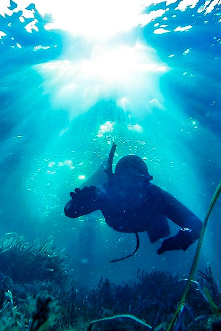 Войны за моллюсков (vojny-za-molljuskov) Документальный сериал