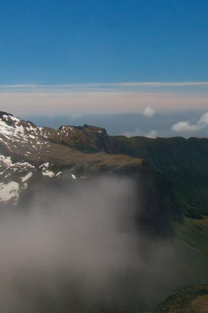 Дикая природа Новой Зеландии (dikaja-priroda-novoj-zelandii) Документальный фильм