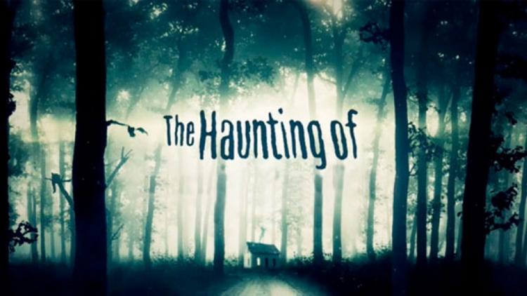 Постер The Haunting Of