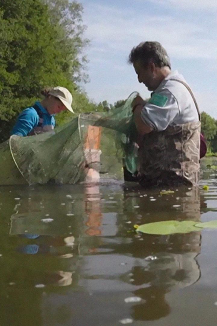 Рона: река жизни (rona-reka-zhizni) Документальный фильм