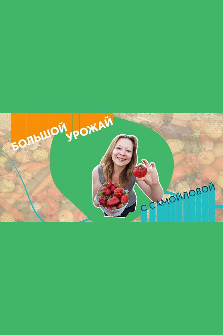 Большой урожай (bolshoj-urozhaj) Познавательное