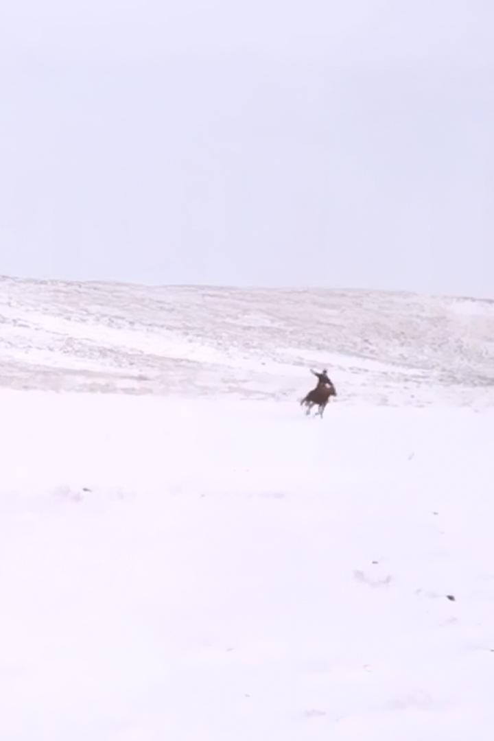 Легенды (legendy) Познавательное