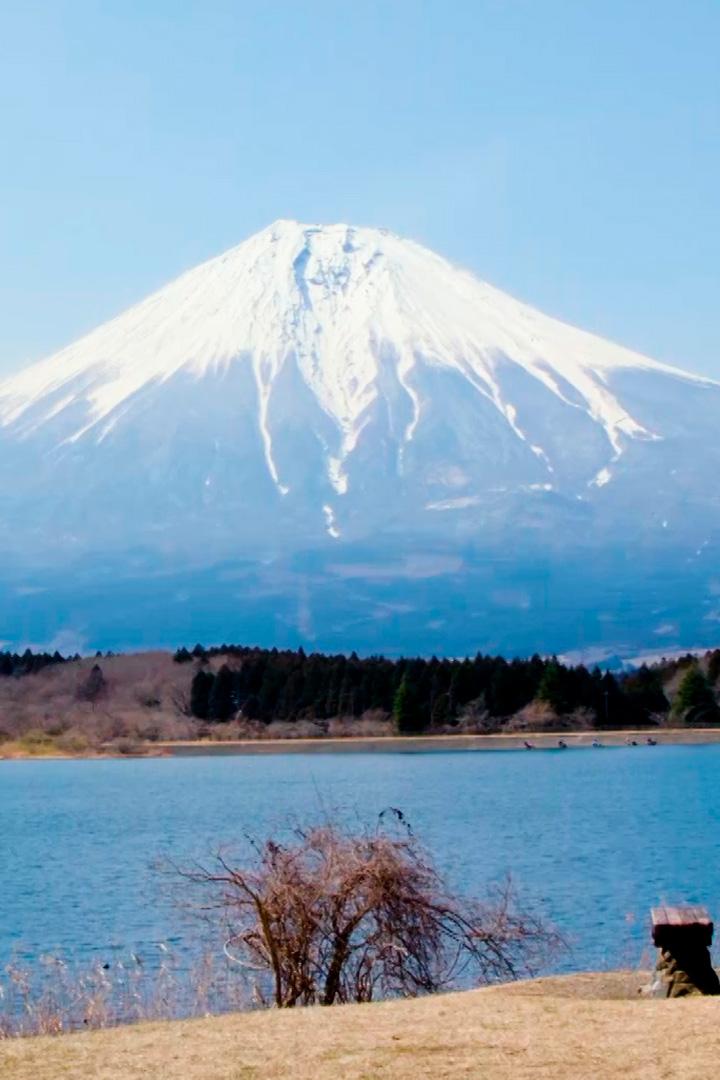 Вершина вкуса (vershina-vkusa) Досуг, хобби