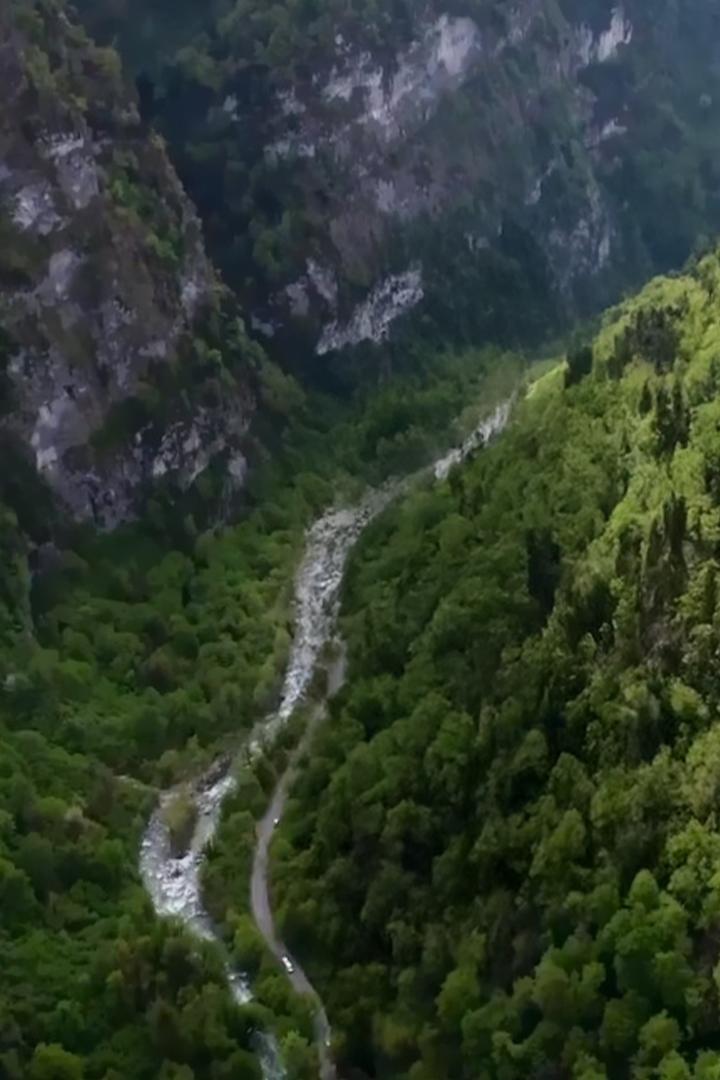 Субтропики: удивительный мир природы и культуры России (subtropiki-udivitelnyj-mir-prirody-i-kultury-rossii) Документальный фильм