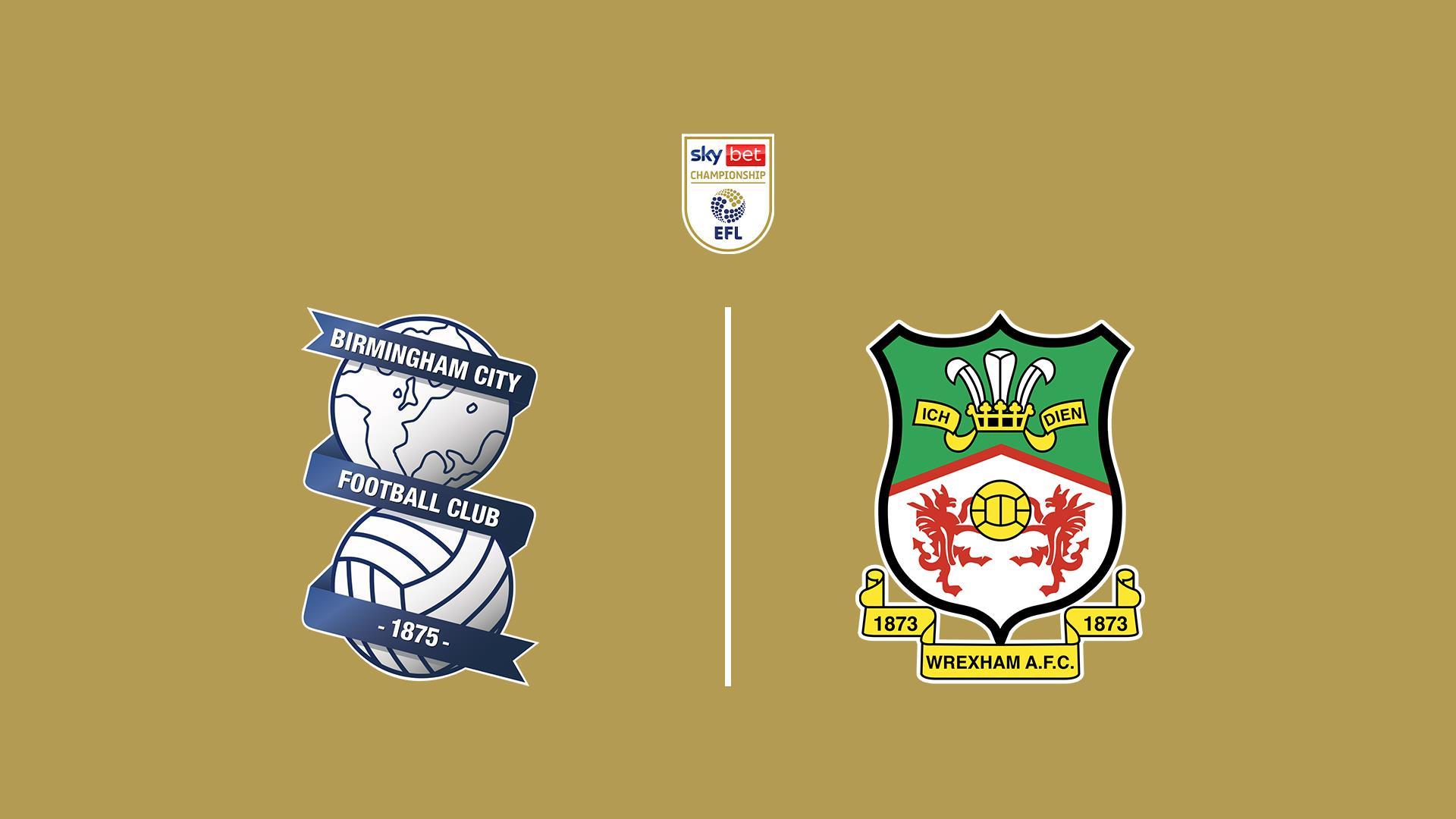 Чемпионшип Английской Футбольной Лиги: Бирмингем - Рексхэм (chempionship-anglijskoj-futbolnoj-ligi-birmingem-rekshem) Спорт