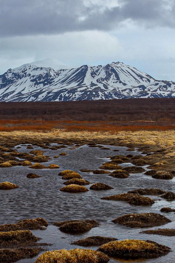 Тундра (tundra) Документальный фильм