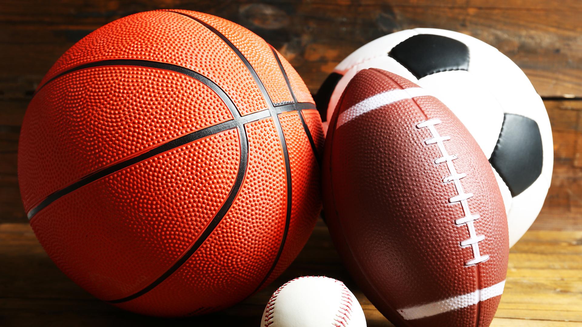 Fonbet Премьер-лига 2025/2026. Женщины. 1/2 финала. «Динамо» (Курск) - «НИКА-Лузалес» (Сыктывкар) (fonbet-premer-liga-20252026-zhenschiny-12-finala-dinamo-kursk-nika-luzales-syktyvkar) Спорт