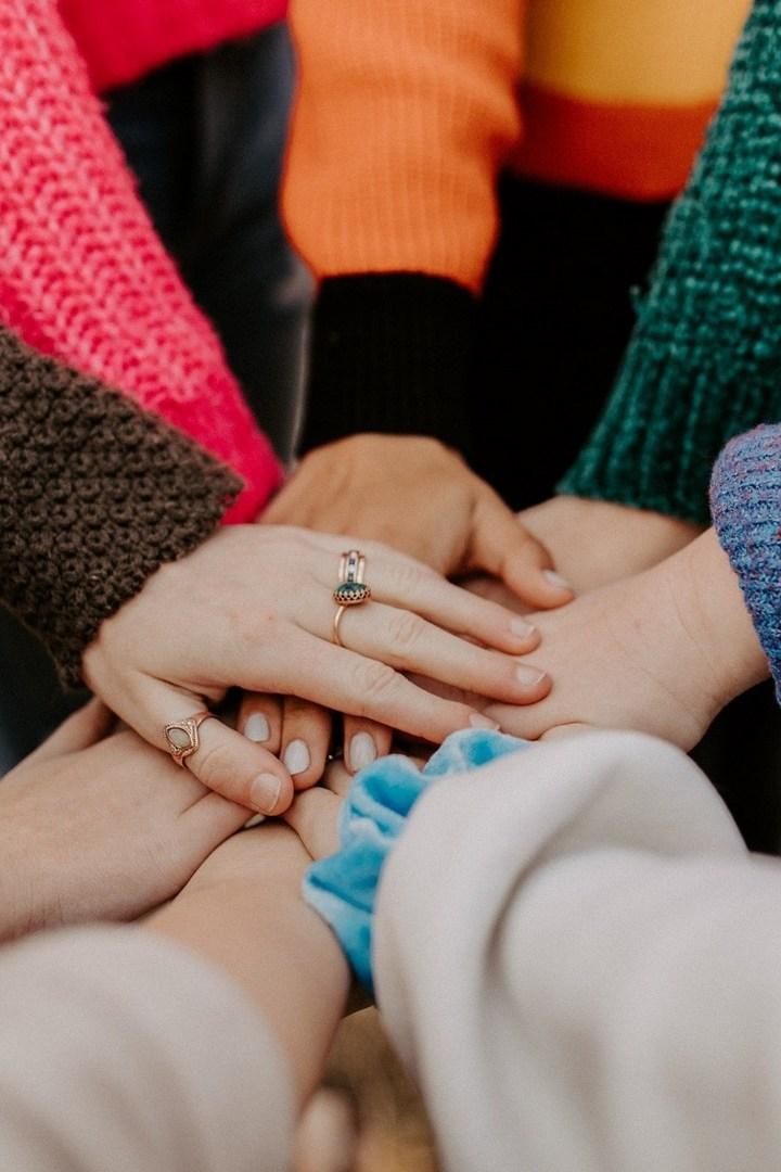 Недомашние питомцы (nedomashnie-pitomtsy) Реалити-шоу