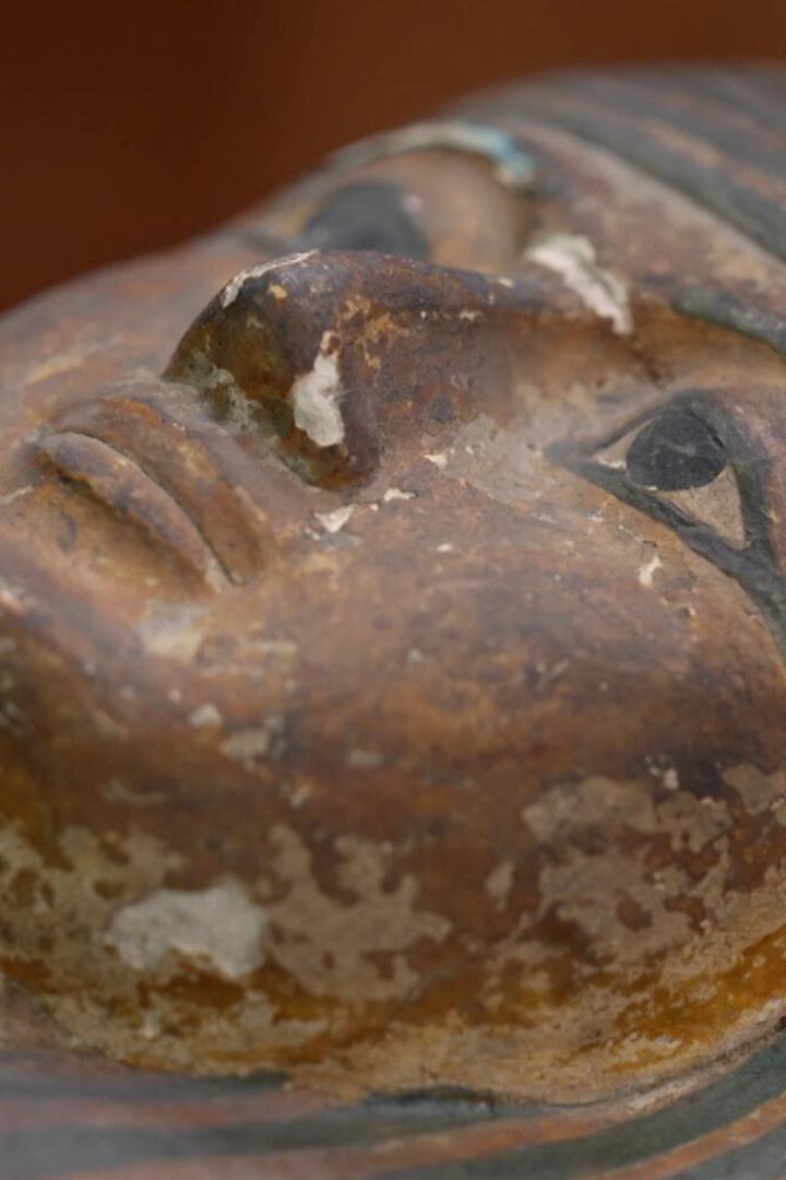 Momias: detrás de la inmortalidad (momias-detrs-de-la-inmortalidad) Документальный фильм