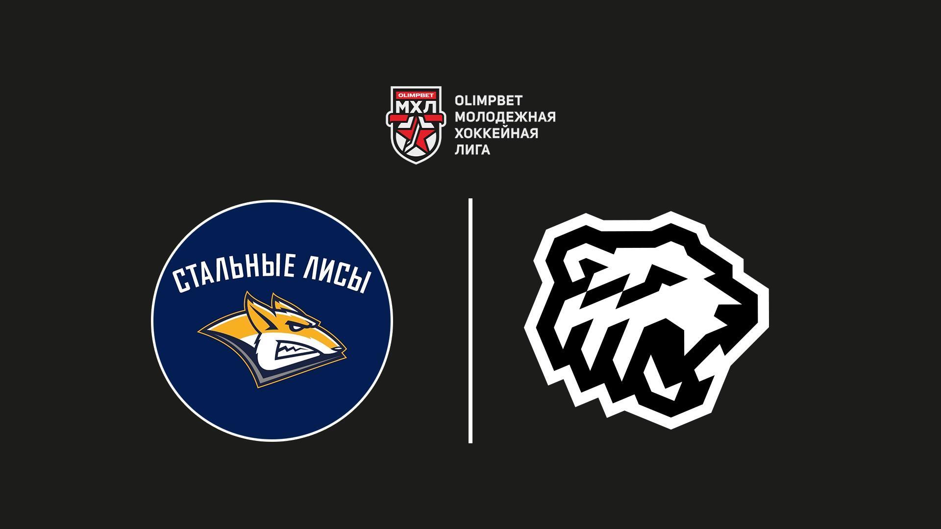 Хоккей. МХЛ. Стальные Лисы - Белые Медведи. Плей-офф (hokkej-mhl-stalnye-lisy-belye-medvedi-plej-off) Спорт