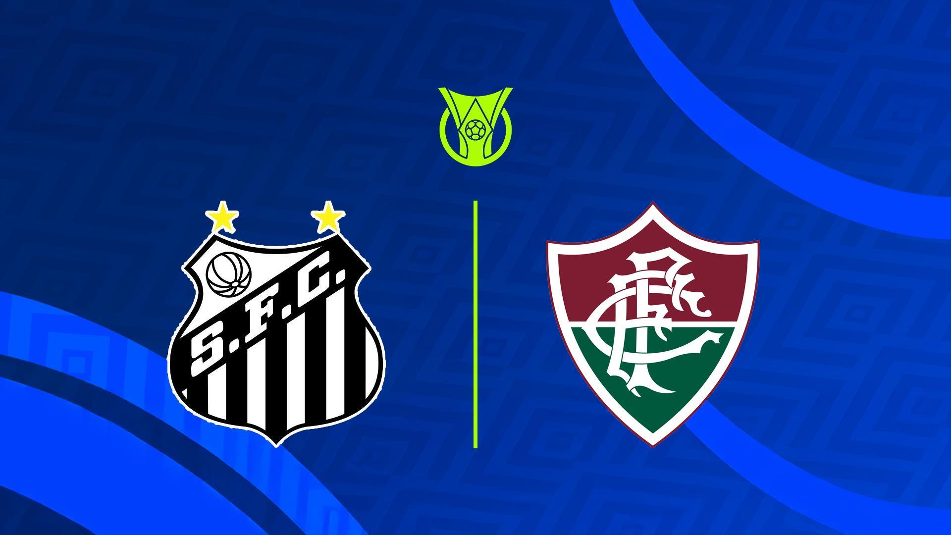 Чемпионат Бразилии. «Сантос» - «Флуминенсе» (chempionat-brazilii-santos-fluminense) Спорт