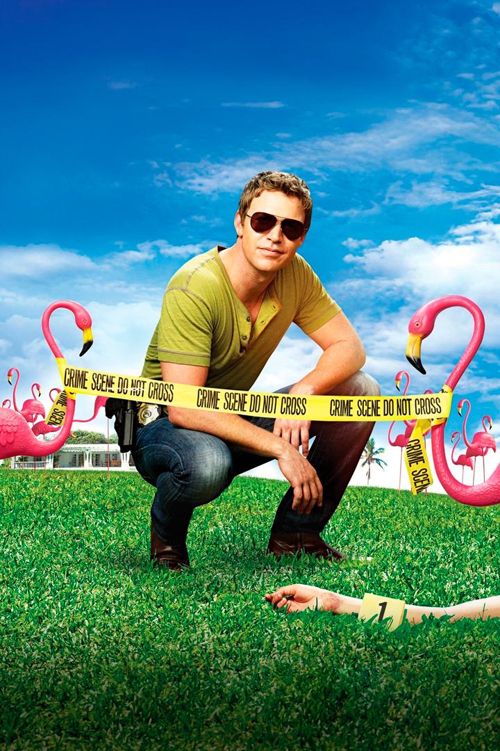 Пляжный коп (pljazhnyj-kop) Сериал 2010