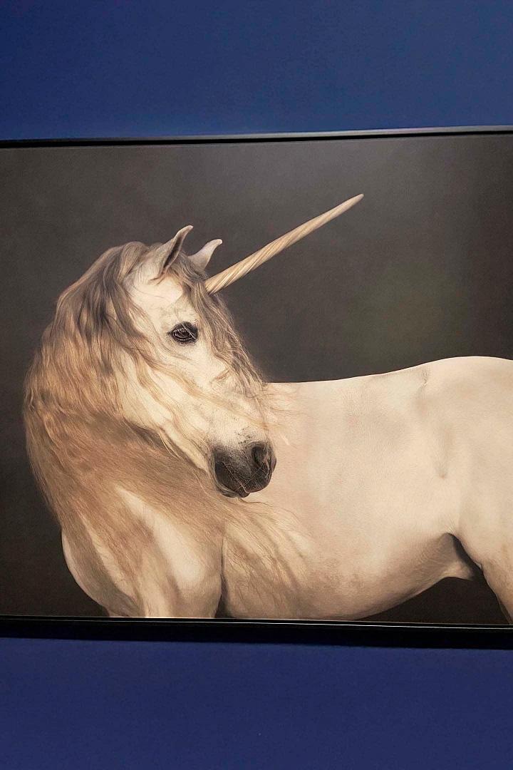La licorne : Chef d'oeuvre mythique (la-licorne-chef-doeuvre-mythique) Документальный фильм