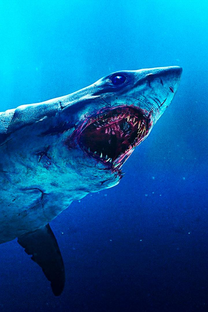 Мако. Убийца из глубины (mako-ubijtsa-iz-glubiny) Фильм 2021