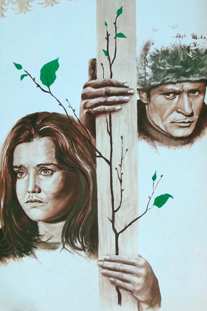 Приезжая (priezzhaja) Фильм 1977