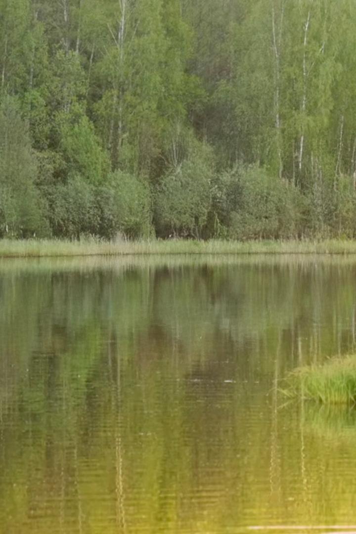 За диким трофеем (za-dikim-trofeem) Досуг, хобби