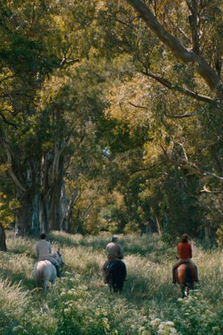 Банкиры (bankiry) Фильм 2021