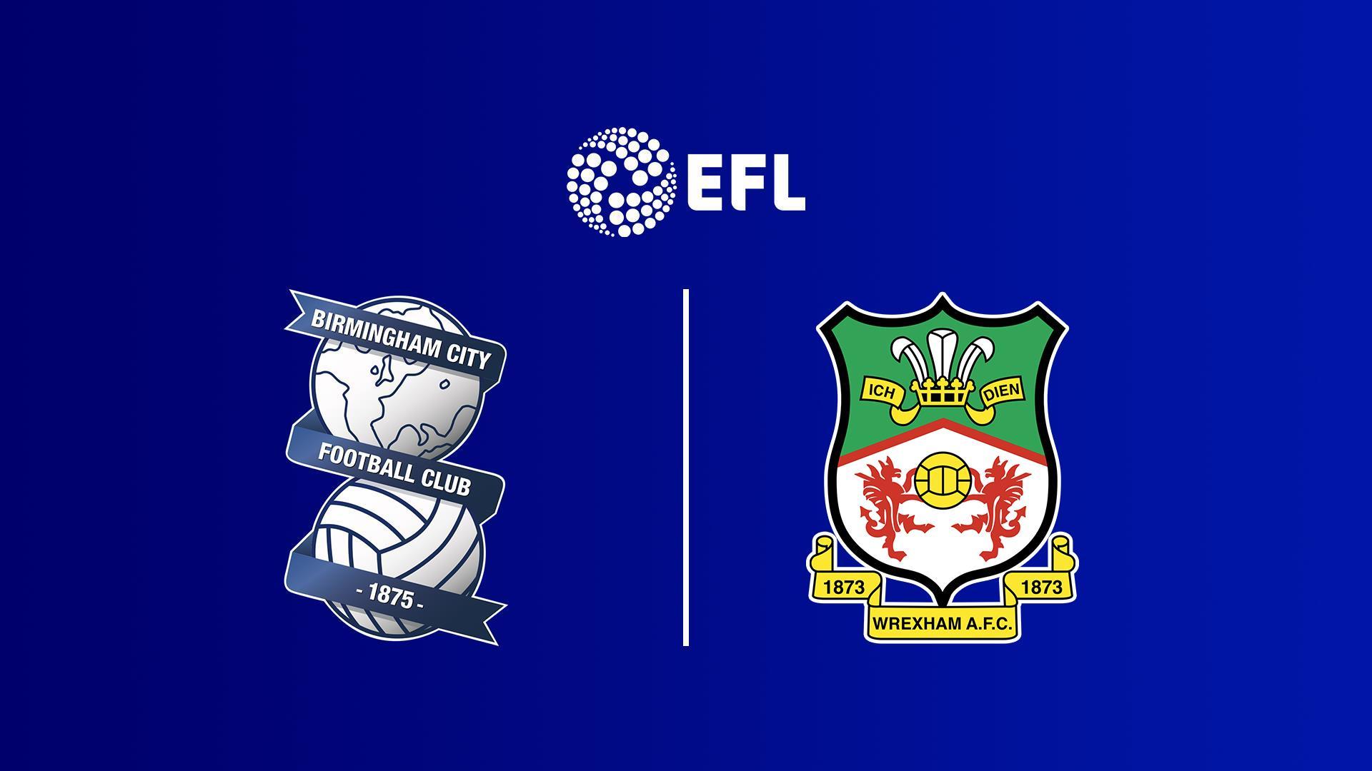 Футбол. Чемпионат Англии. Чемпионшип. Бирмингем Сити - Рексем (futbol-chempionat-anglii-chempionship-birmingem-siti-reksem) Спорт