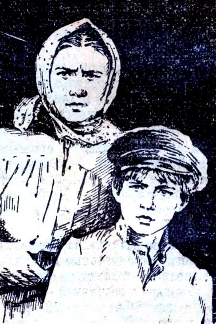 Вольница — обложка